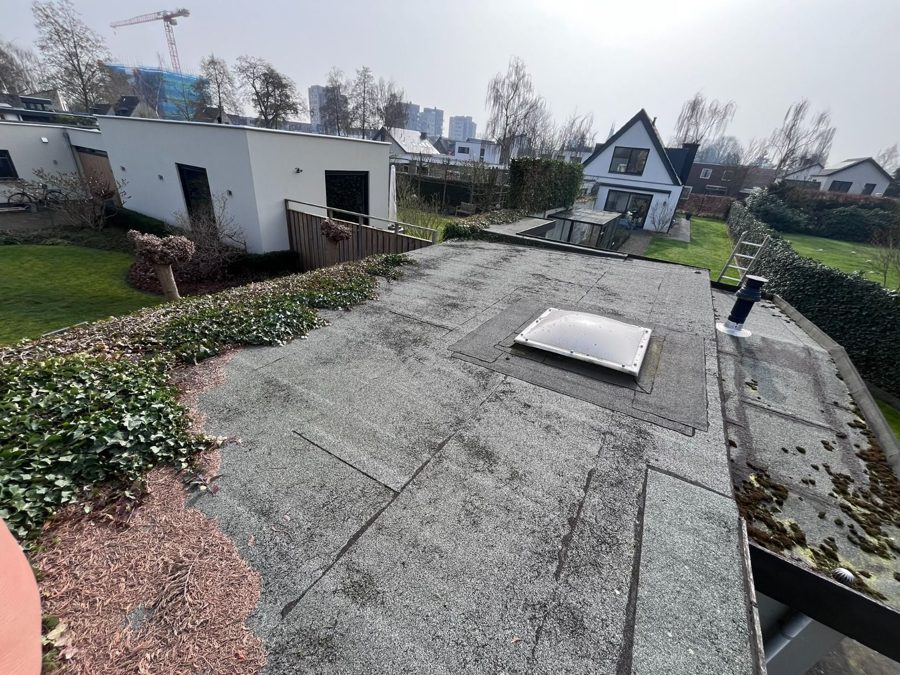 Het hele dak in beeld